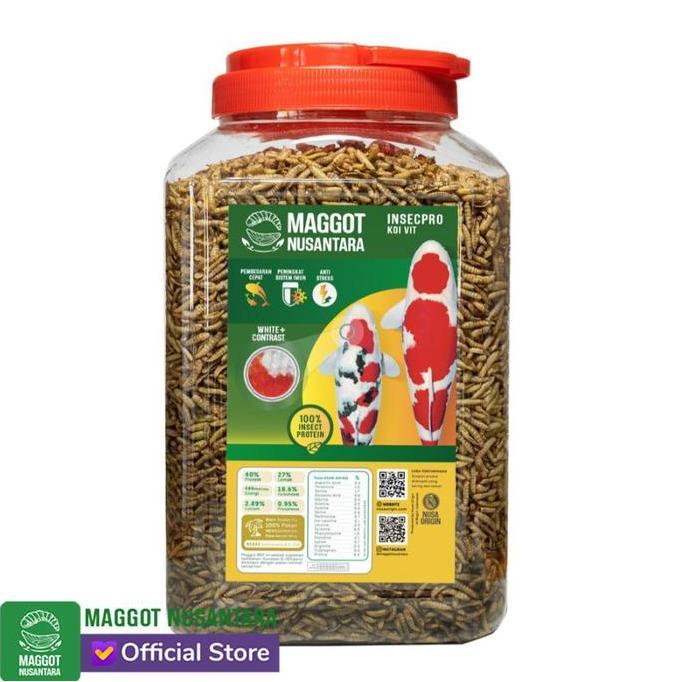 MAGGOT NUSANTARA KOI 500 GR