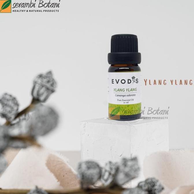 Essential Oil & Aromatheraphy Evodis Ylang Ylang
