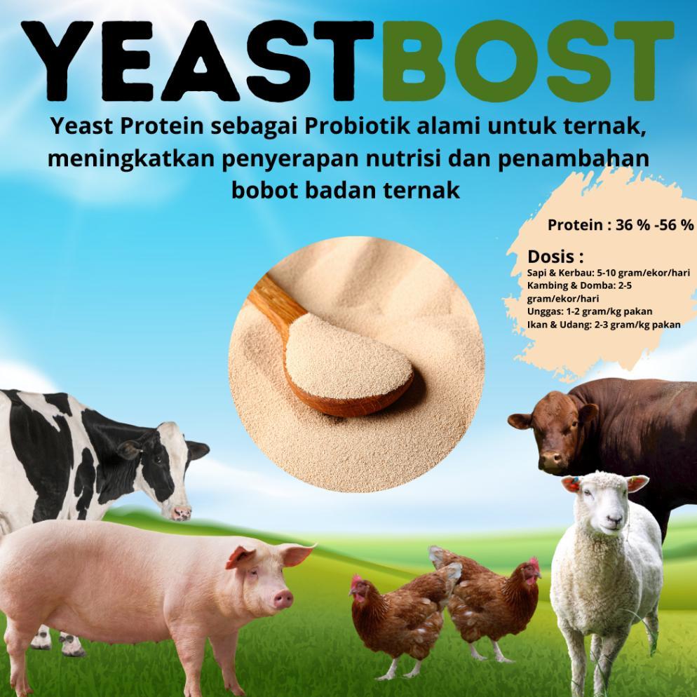 Ready Stok YeastBost Feed Grade 1KG Yeast Protein untuk Ternak, Meningkatkan Memacu & Pertumbuhan