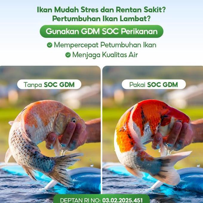 Suplemen Organik Cair GDM Perikanan 5L | Probiotik Perikanan | Air Jernih & Ikan Cepat Besar | Lele 