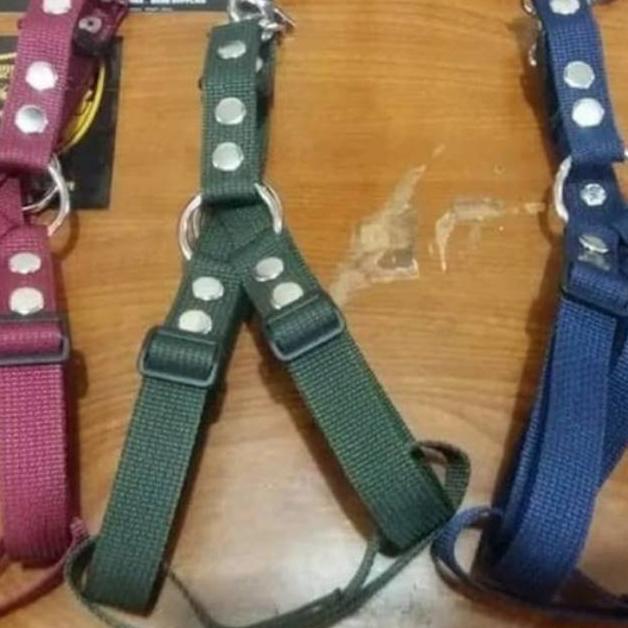 [BT] harness tali badan anjing kucing musang