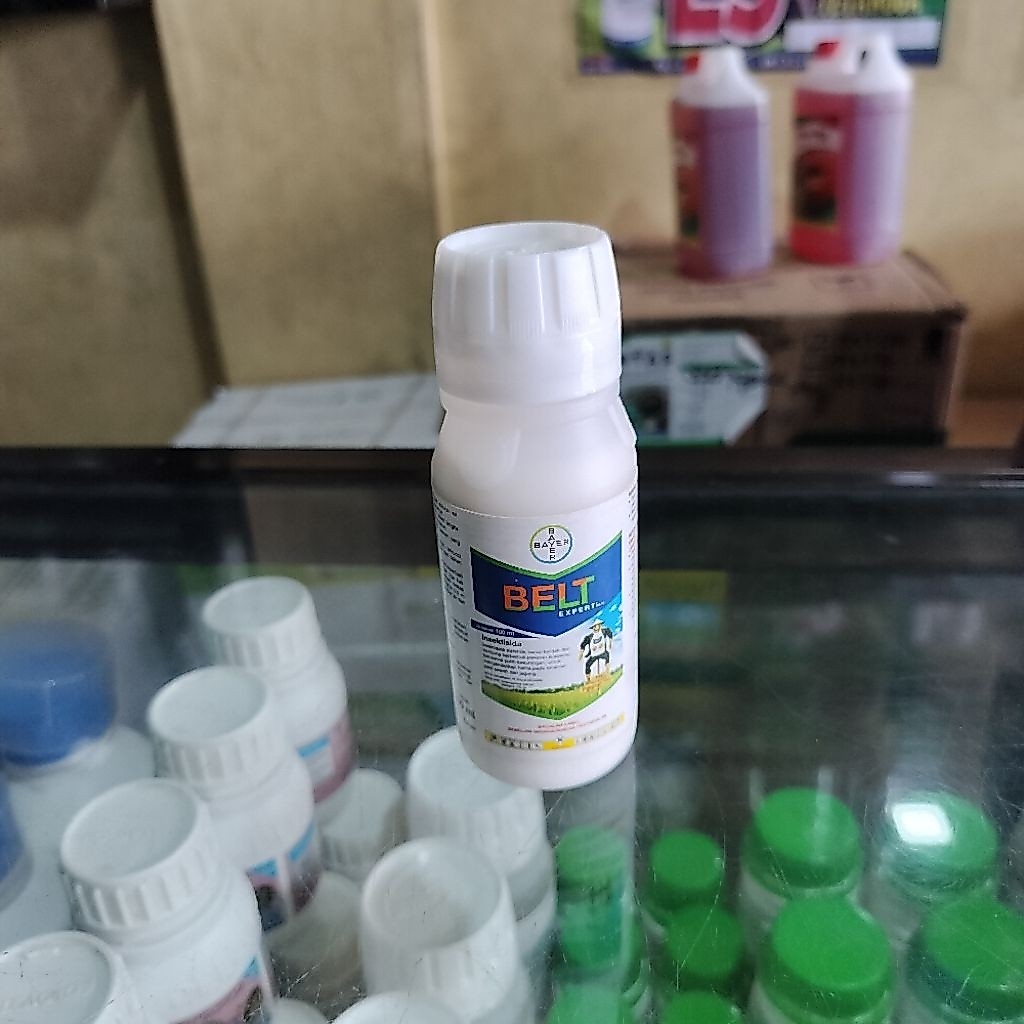 Belt Expert 480 SC 100 Ml