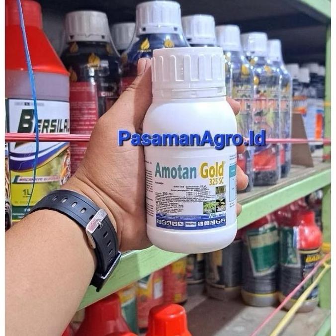 >>>>>] FUNGISIDA AMOTAN GOLD 325 SC -250 ML