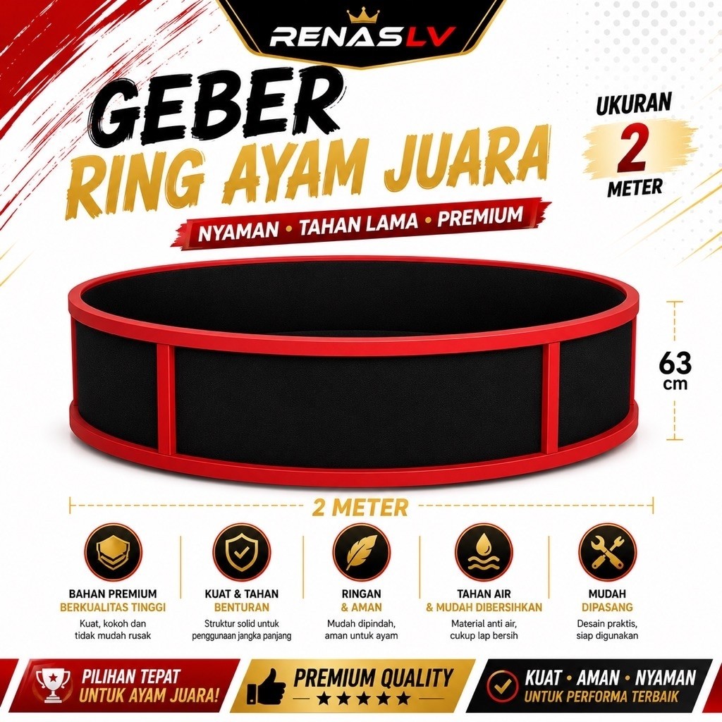 geber adu latihan ayam bangkok Eva tebal