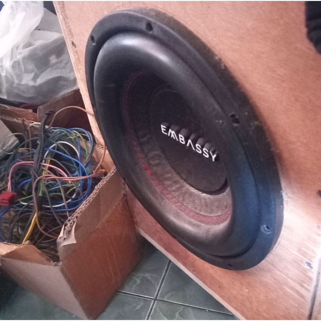Speaker Subwoofer 10in