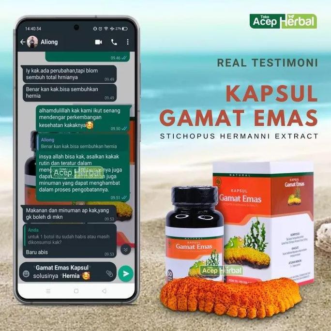 Myhealth- Kapsul Gamat Emas , Kapsul Gamat, Gamat Kapsul
