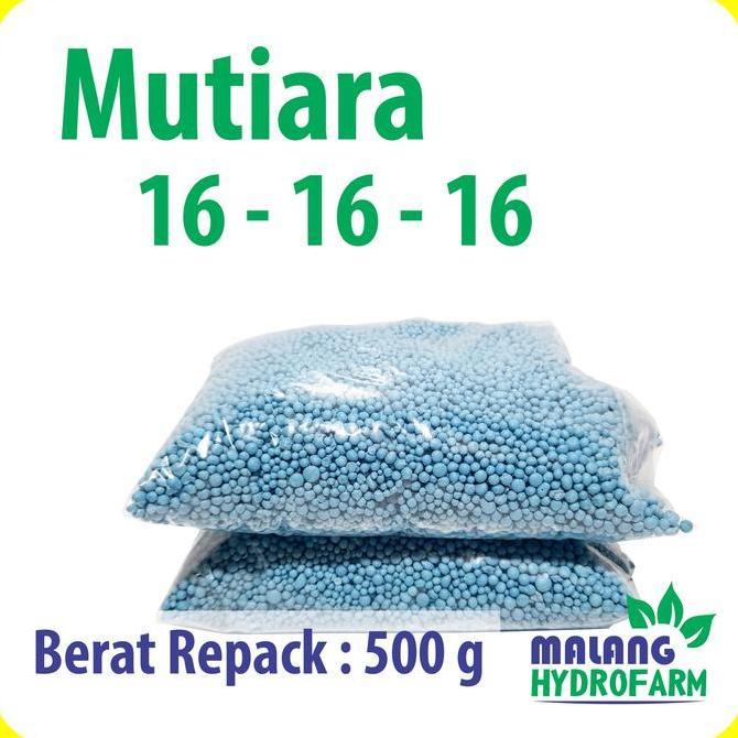 Pupuk Mutiara 16 - 16 - 16 Repack 500 Gram Pertanian Aglaonema Npk Pot