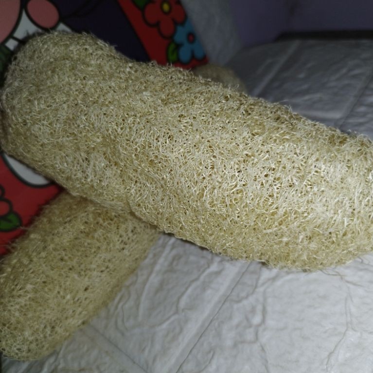 Gambas kering / oyong kering / sponge alami