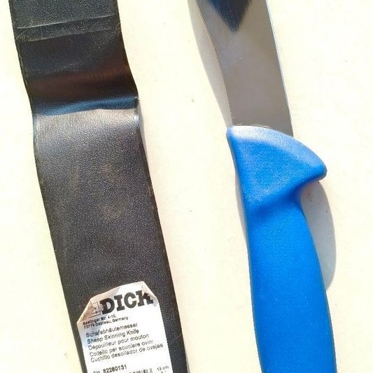 F Dick lamb skinning 13cm 2nd