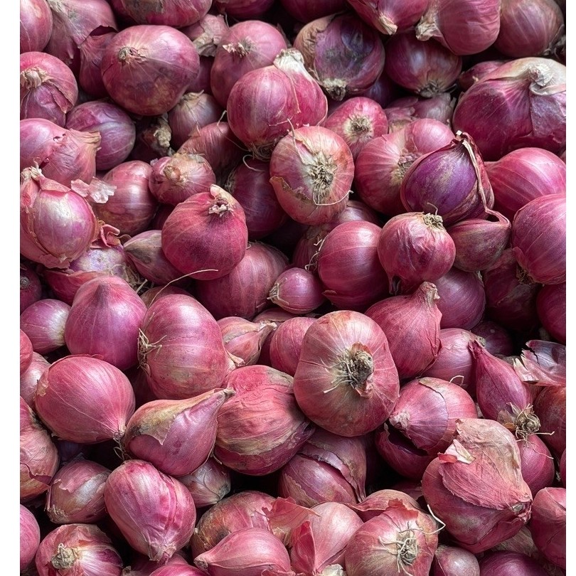 Bawang Merah Probolinggo Super
