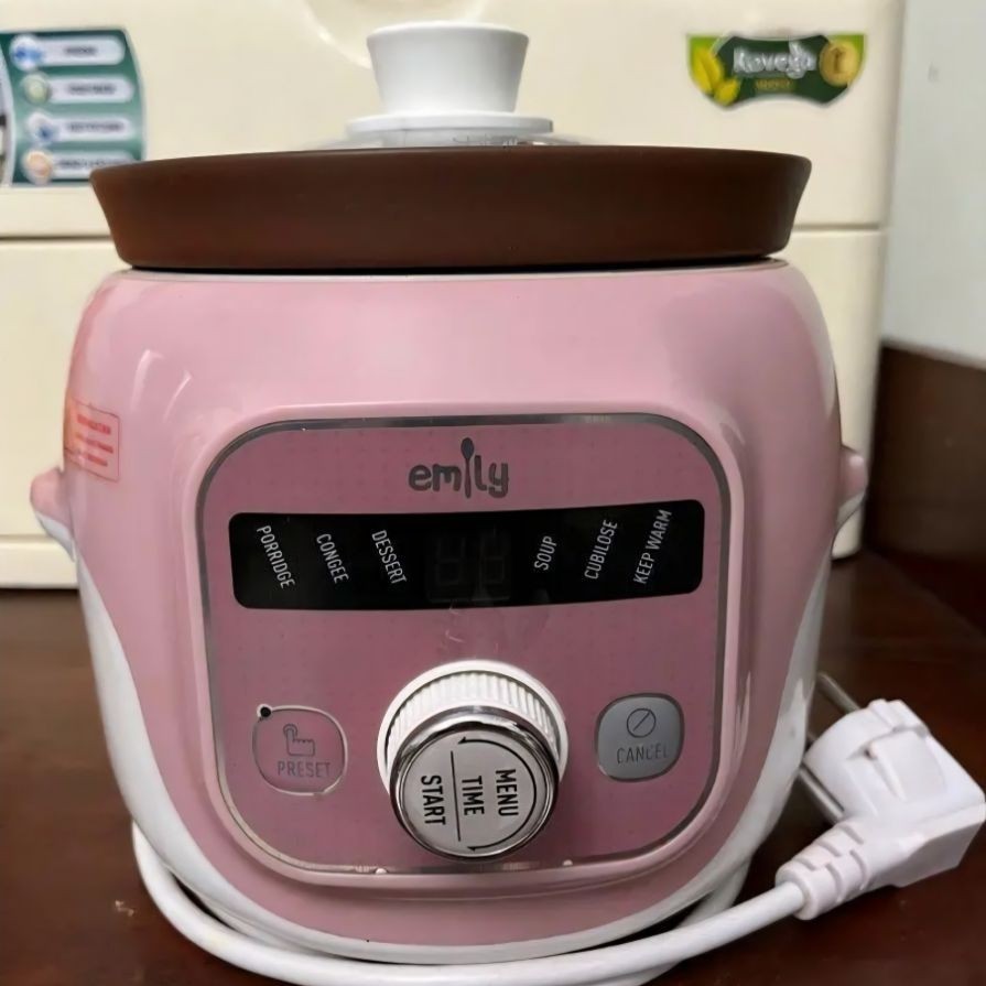Slow Cooker Emily