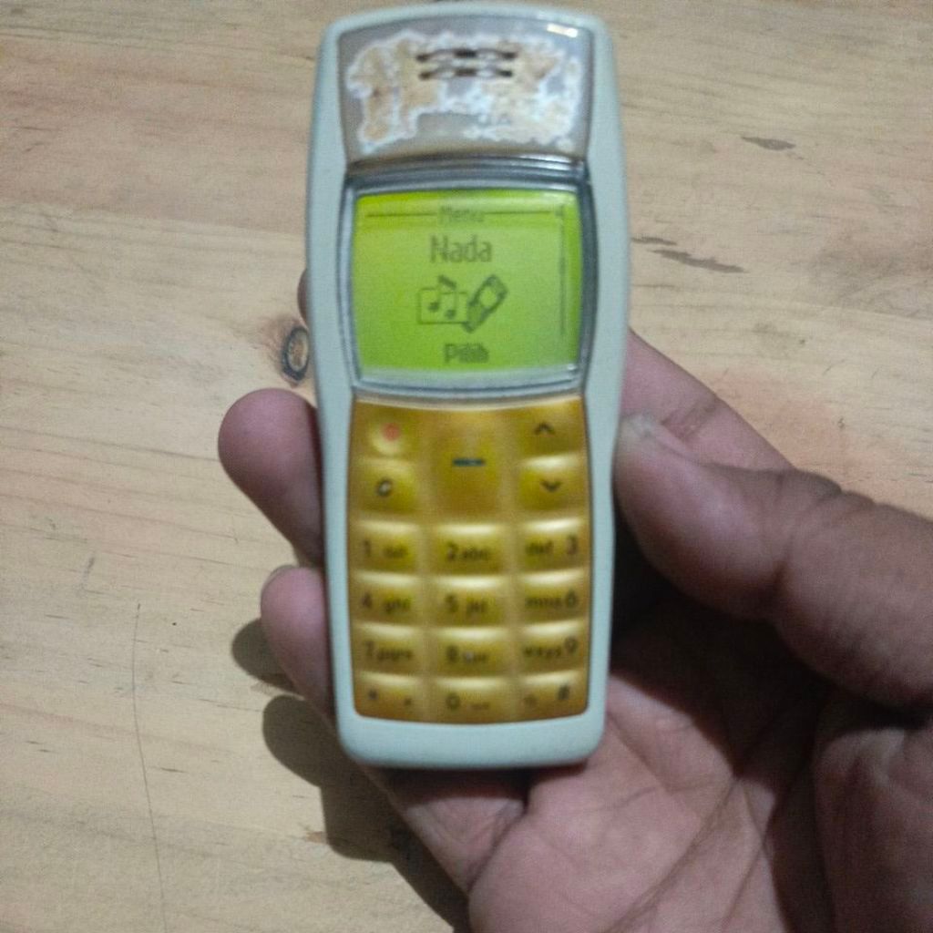 Nokia 1100