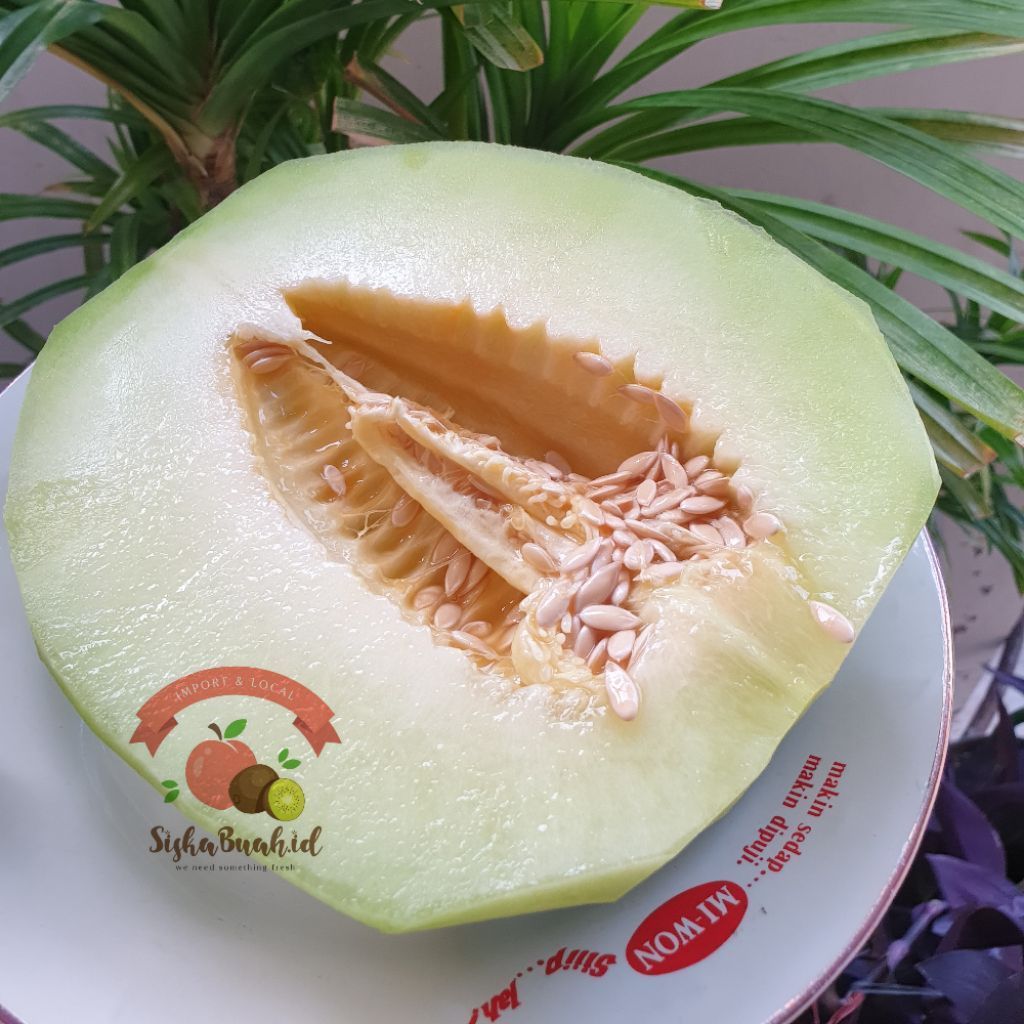 MELON MADU | MELON HIJAU MANIS | MELON LOKAL