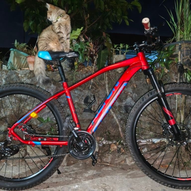 sepeda element alton challenger ring 27,5 second