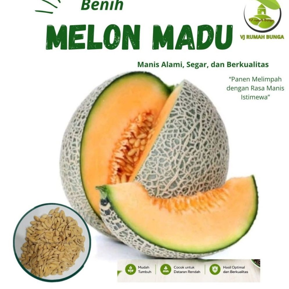 benih bibih biji buah melon manis benih bibit melon madu