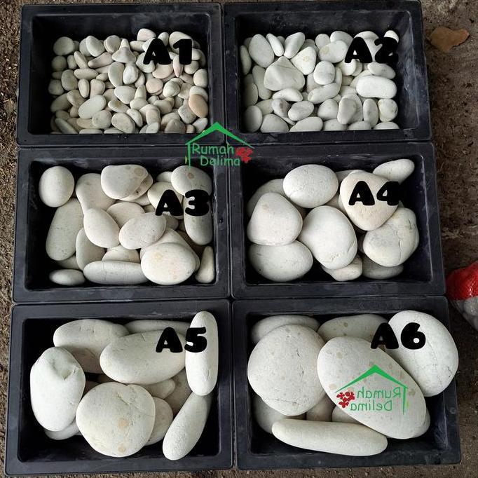 batu koral pancawarna/batu koral putih/ batu hias