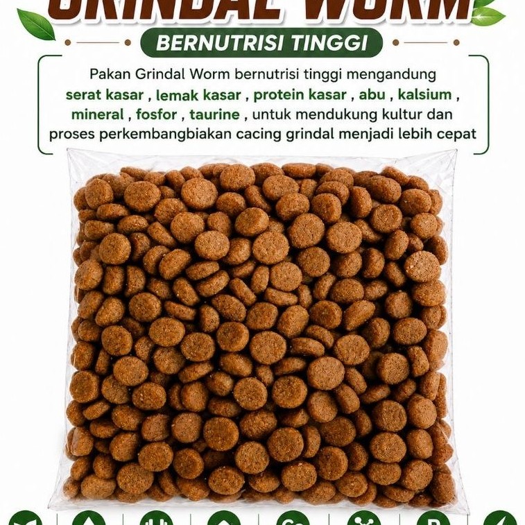 PAKAN GRINDAL WORM PREMIUM / PAKAN CACING GRINDAL / KULTUR GRINDAL.WORM / BUDIDAYA GRINDAL WORM / CA