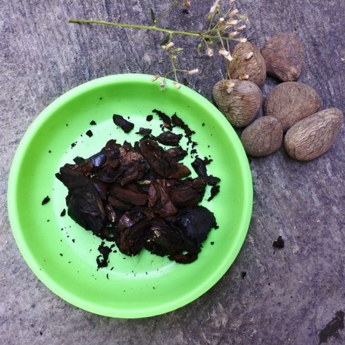 Kluwek kupas 100gr 250gr 500gr KEYRA