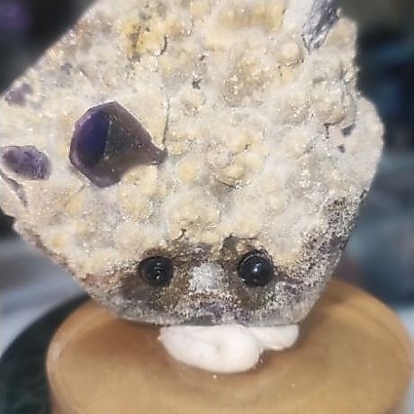 Hedgie Flourite