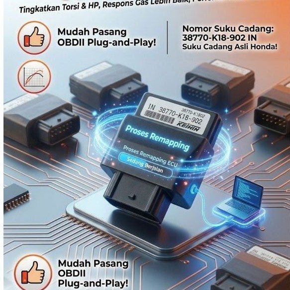 jasa remap ecu honda keihin shindengen
