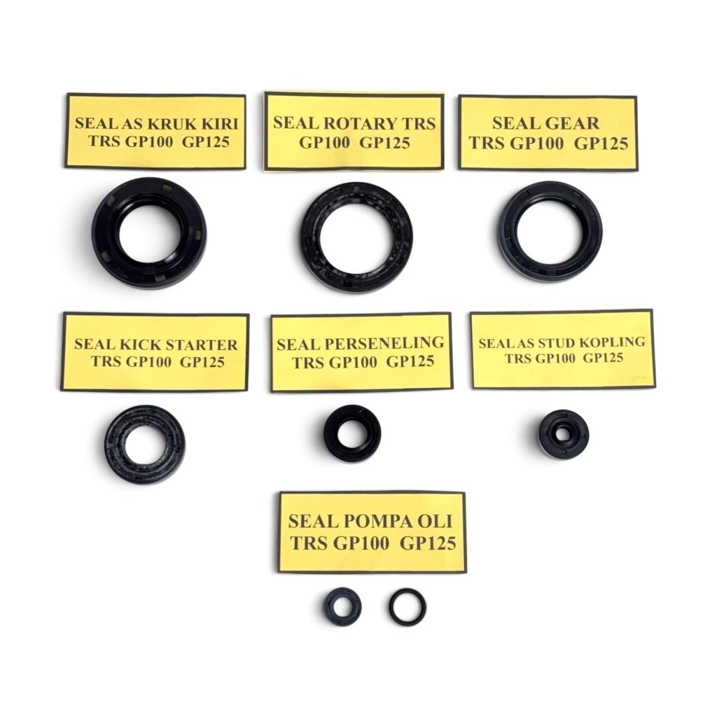SEAL SET MESIN TRS TRZ GP100 GP125 GP 100 125