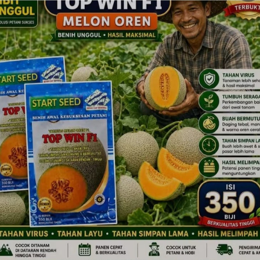TOP WIN F1 benih melon madu super benih melon golden bibit melon madu super manis