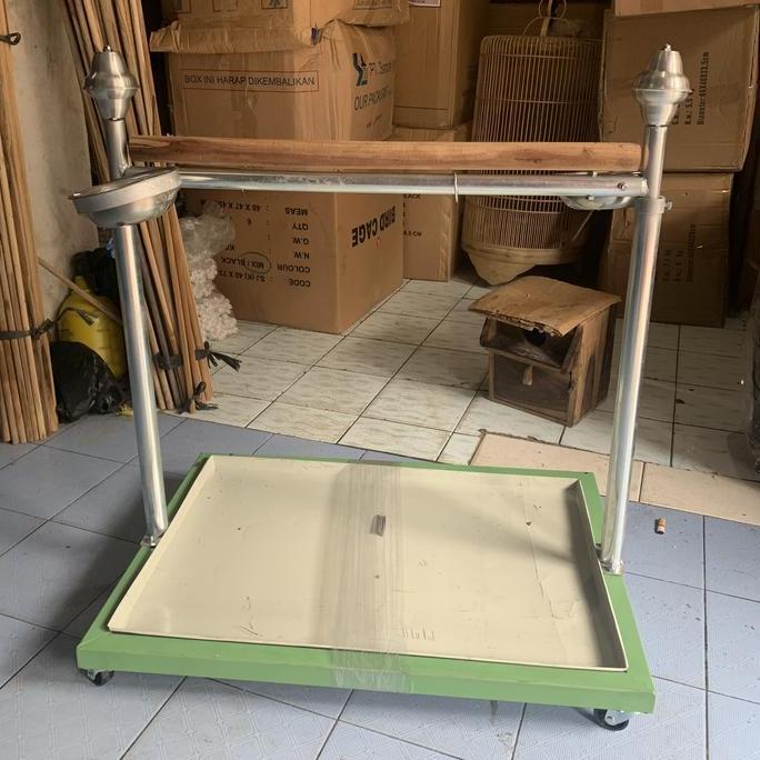 tangkringan burung kakatua nuri