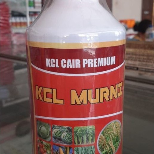 KCL MURNI 1 Liter – Pupuk Kalium Cair Premium | Booster Malai, Buah & Umbi | GRATIS 1 Kaos