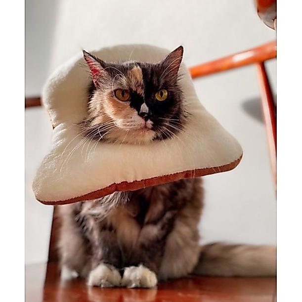 [TOYS] corong kalung leher anjing kucing roti boneka lucu