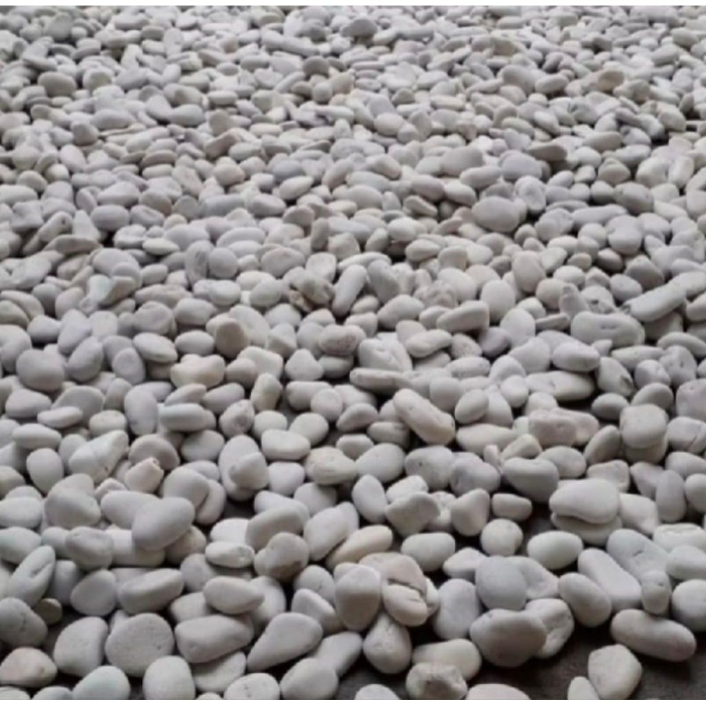 Batu koral putih - Batu putih - Hiasan Batu koral taman