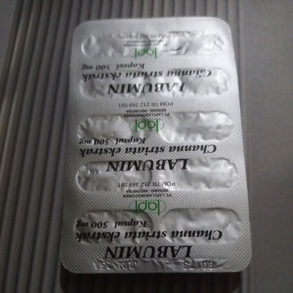 LABUMIN Channa striata ekstrak kapsul 500 mg PT. LAPI Laboratories Serang Indonesia