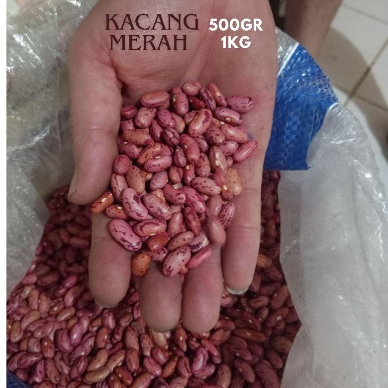 kacang merah 1Kg