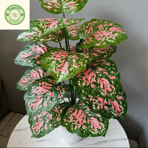 TANAMAN PLASTIK KELADI QIU PINK(sudah+pot) Bunga