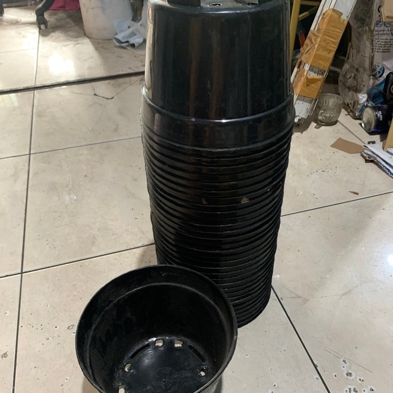 POT BUNGA AGLONEMA/ POT HITAM MURAH