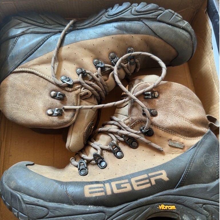 sepatu Eiger plum