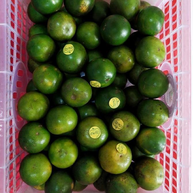 Fruits- Jeruk Peras Pontianak | Yang Memiliki Rasa 80 Manis 20 Asam ( 5Kg )