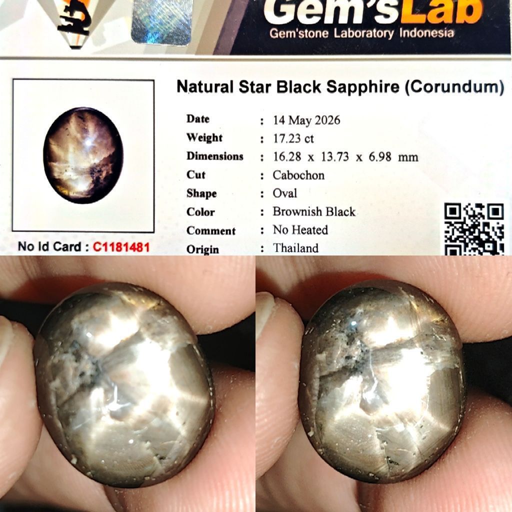 JUMBO ANTIK Natural Triple Star Black Sapphire Bangsing No Heated 17ct GLI Star Mayung Body Kaca Met