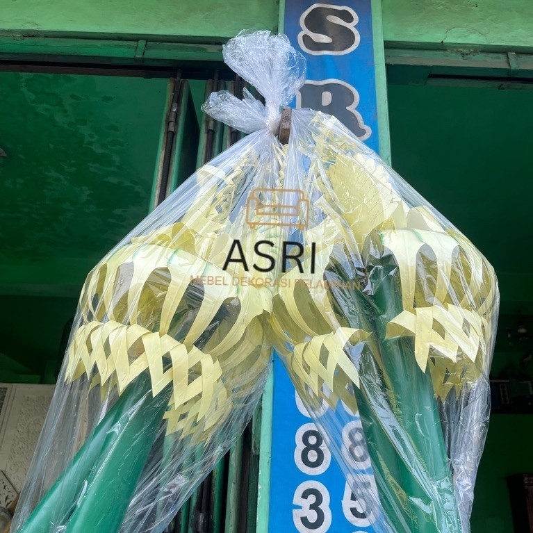 KEMBAR MAYANG/ JANUR PLASTIK/ MAYANGSARI
