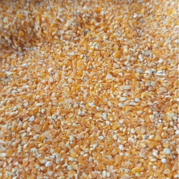 JAGUNG MENIR BERAS JAGUNG JAGUNG GILING 1 KG