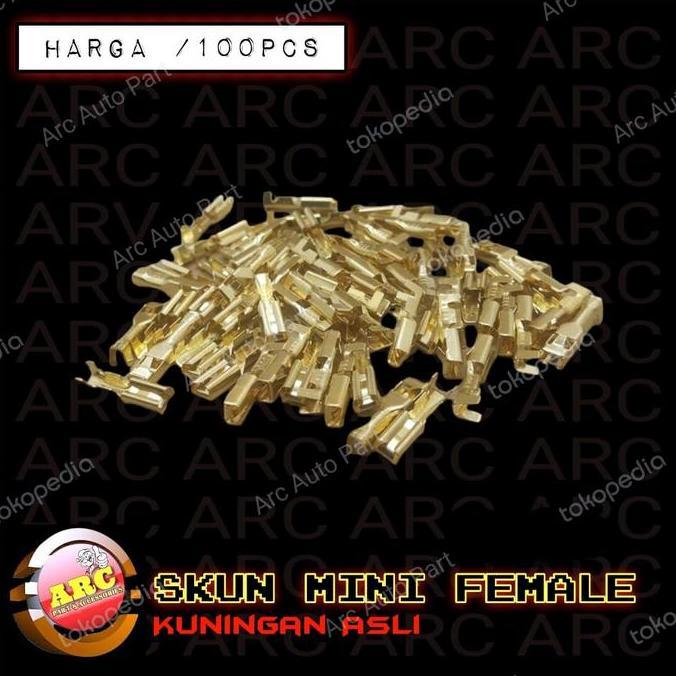 Dj- Skun Gepeng Mini Female 100Pcs