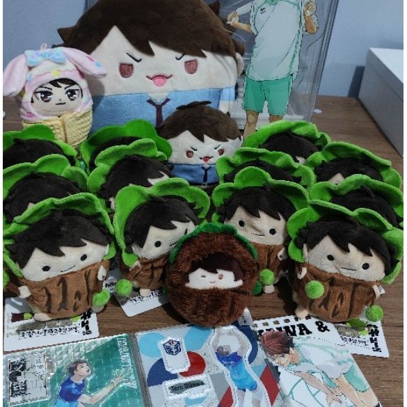 Treekawa Noru Oikawa Tooru Tree Noru chara Haikyuu with tags 12pcs hanya sultan yang bisa co