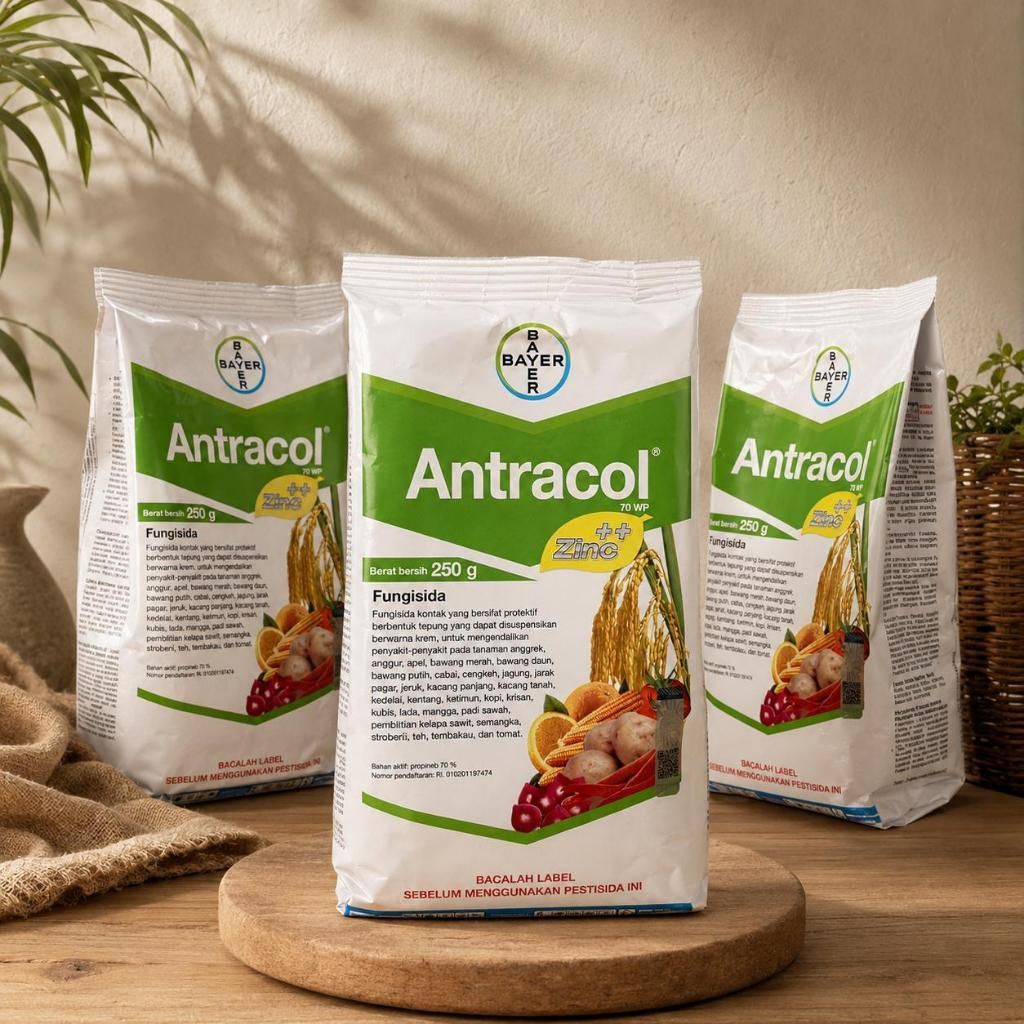 Fungisida Antracol 250 gram