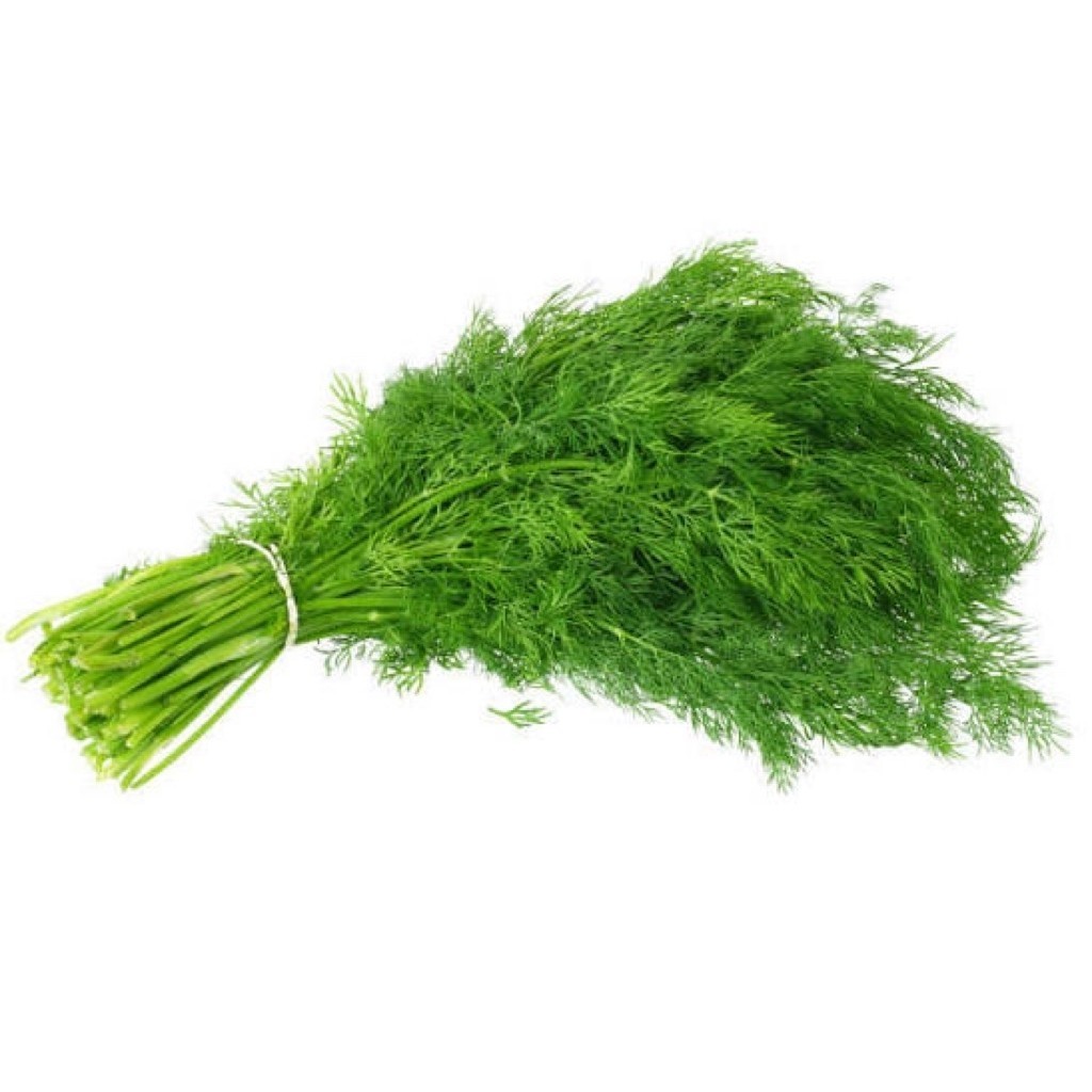 Dill Leaf Fresh 150 Gram