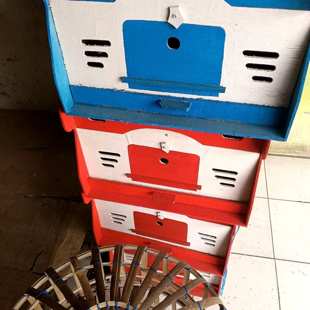bekupon kandang burung dara warna warni