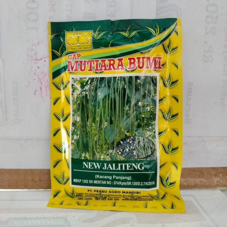 Benih Kacang Panjang New Jaliteng Tahan Virus