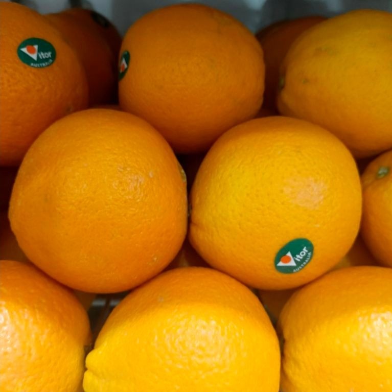 Sunkist Navel ||