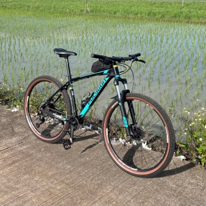 Sepeda Polygon Cascade 4 2020