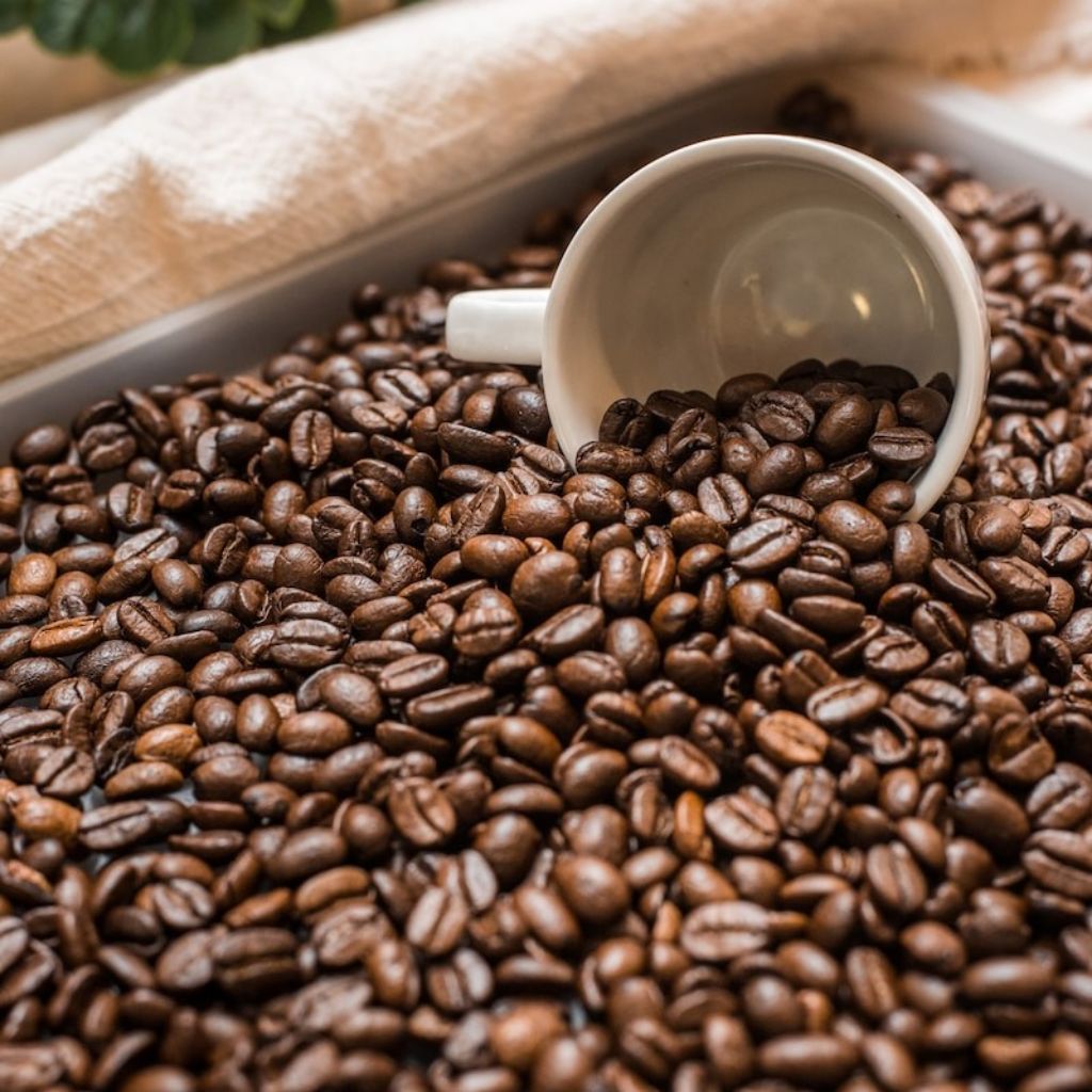 kopi Arabika Full Wass Garut Cikuray