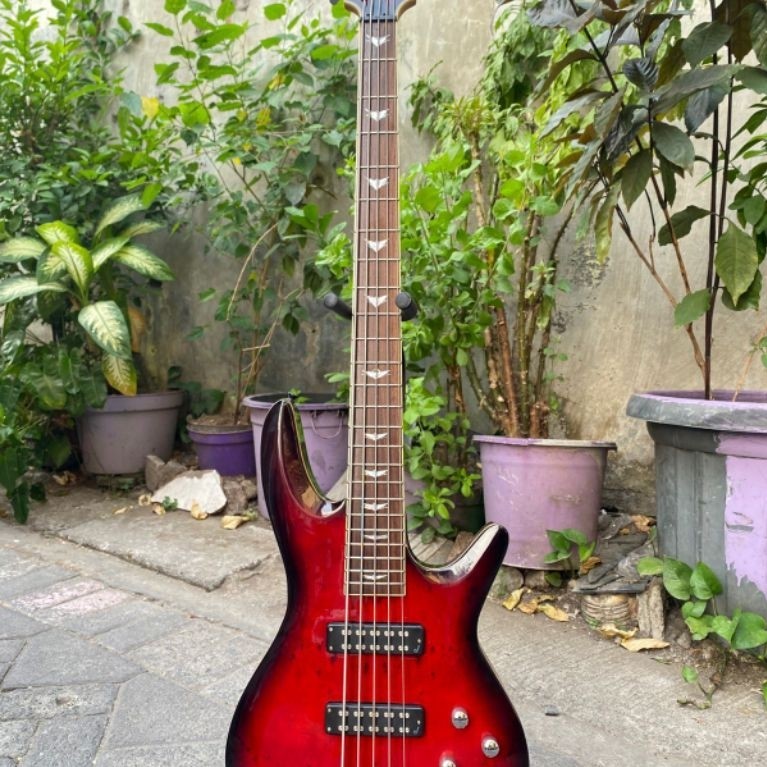 bass Schecter 5strings