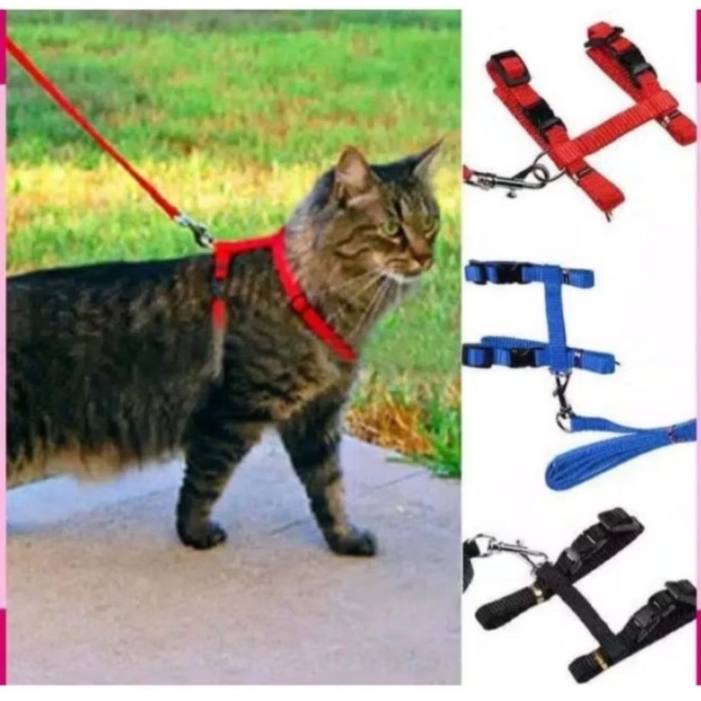Harness Kucing - Harness H Kucing - Harness Hewan